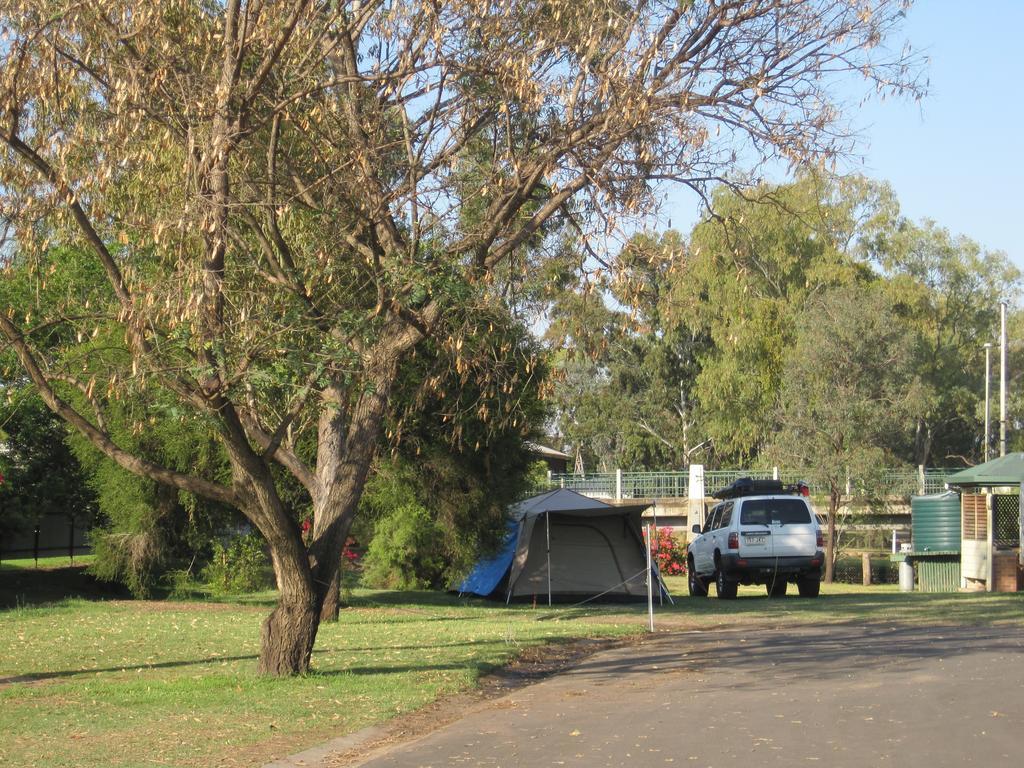 מלון Dalby Tourist Park מראה חיצוני תמונה
